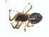  ( - BIOUG01579-C12)  @12 [ ] Copyright  G. Blagoev 2011 Unspecified
