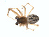  ( - BIOUG01579-D01)  @12 [ ] Copyright  G. Blagoev 2011 Unspecified