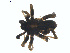  ( - BIOUG01579-F08)  @12 [ ] Copyright  G. Blagoev 2011 Unspecified