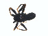  ( - BIOUG01579-G02)  @12 [ ] Copyright  G. Blagoev 2011 Unspecified