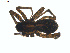  ( - BIOUG01579-G04)  @12 [ ] Copyright  G. Blagoev 2011 Unspecified