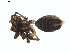  ( - BIOUG01579-H02)  @12 [ ] Copyright  G. Blagoev 2011 Unspecified