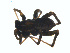  ( - BIOUG01579-H05)  @13 [ ] Copyright  G. Blagoev 2011 Unspecified