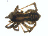  ( - BIOUG01579-H08)  @12 [ ] Copyright  G. Blagoev 2011 Unspecified