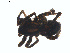  ( - BIOUG01579-H10)  @12 [ ] Copyright  G. Blagoev 2011 Unspecified