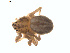  ( - BIOUG01626-D05)  @12 [ ] Copyright  G. Blagoev 2011 Unspecified