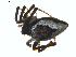  ( - BIOUG01626-E06)  @12 [ ] Copyright  G. Blagoev 2011 Unspecified