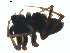  ( - BIOUG01626-H01)  @12 [ ] Copyright  G. Blagoev 2011 Unspecified