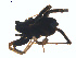  ( - BIOUG01626-H02)  @12 [ ] Copyright  G. Blagoev 2011 Unspecified