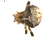  ( - BIOUG01627-A02)  @12 [ ] Copyright  G. Blagoev 2011 Unspecified