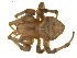  ( - BIOUG01627-A03)  @12 [ ] Copyright  G. Blagoev 2011 Unspecified