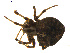  ( - BIOUG01627-A04)  @12 [ ] Copyright  G. Blagoev 2011 Unspecified