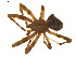  ( - BIOUG01627-A05)  @12 [ ] Copyright  G. Blagoev 2011 Unspecified