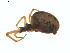  ( - BIOUG01628-B01)  @12 [ ] Copyright  G. Blagoev 2011 Unspecified