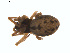  ( - BIOUG01628-B02)  @12 [ ] Copyright  G. Blagoev 2011 Unspecified