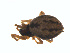  ( - BIOUG01628-B04)  @12 [ ] Copyright  G. Blagoev 2011 Unspecified