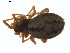  ( - BIOUG01628-B05)  @12 [ ] Copyright  G. Blagoev 2011 Unspecified