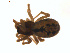  ( - BIOUG01628-B07)  @12 [ ] Copyright  G. Blagoev 2011 Unspecified