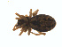  ( - BIOUG01628-B09)  @12 [ ] Copyright  G. Blagoev 2011 Unspecified