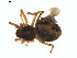  ( - BIOUG01628-E11)  @12 [ ] Copyright  G. Blagoev 2011 Unspecified