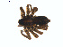  ( - BIOUG01628-G02)  @12 [ ] Copyright  G. Blagoev 2011 Unspecified