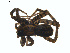  ( - BIOUG01628-H01)  @13 [ ] Copyright  G. Blagoev 2011 Unspecified