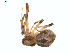  ( - BIOUG01634-C12)  @12 [ ] Copyright  G. Blagoev 2011 Unspecified