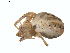  ( - BIOUG01634-F06)  @13 [ ] Copyright  G. Blagoev 2011 Unspecified