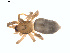  ( - BIOUG01635-C12)  @12 [ ] Copyright  G. Blagoev 2011 Unspecified