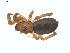  ( - BIOUG01635-E02)  @12 [ ] Copyright  G. Blagoev 2011 Unspecified