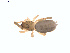  ( - BIOUG01635-E04)  @12 [ ] Copyright  G. Blagoev 2011 Unspecified