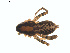  ( - BIOUG01635-E06)  @12 [ ] Copyright  G. Blagoev 2011 Unspecified