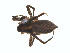  ( - BIOUG01635-E10)  @12 [ ] Copyright  G. Blagoev 2011 Unspecified
