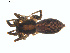  ( - BIOUG01635-E11)  @12 [ ] Copyright  G. Blagoev 2011 Unspecified