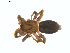  ( - BIOUG01635-F12)  @12 [ ] Copyright  G. Blagoev 2011 Unspecified
