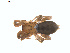  ( - BIOUG01635-H07)  @12 [ ] Copyright  G. Blagoev 2011 Unspecified
