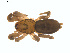  ( - BIOUG01635-H11)  @12 [ ] Copyright  G. Blagoev 2011 Unspecified