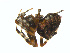  ( - BIOUG00890-B04)  @13 [ ] Copyright  G. Blagoev 2011 Unspecified