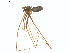  ( - BIOUG00890-E05)  @12 [ ] Copyright  G. Blagoev 2011 Unspecified