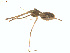  ( - BIOUG00890-F02)  @12 [ ] Copyright  G. Blagoev 2011 Unspecified