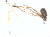  ( - BIOUG00890-F05)  @12 [ ] Copyright  G. Blagoev 2011 Unspecified