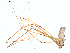  ( - BIOUG00890-F07)  @13 [ ] Copyright  G. Blagoev 2011 Unspecified