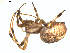  ( - BIOUG00890-G01)  @13 [ ] Copyright  G. Blagoev 2011 Unspecified