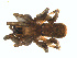  ( - BIOUG01961-F09)  @13 [ ] Copyright  G. Blagoev 2012 Unspecified