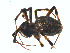 ( - BIOUG01961-H08)  @13 [ ] Copyright  G. Blagoev 2012 Unspecified