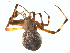  ( - BIOUG01961-H09)  @13 [ ] Copyright  G. Blagoev 2012 Unspecified