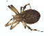  ( - BIOUG01963-A06)  @13 [ ] Copyright  G. Blagoev 2012 Unspecified