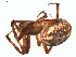  ( - BIOUG01963-B07)  @13 [ ] Copyright  G. Blagoev 2012 Unspecified