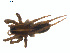  ( - BIOUG01963-F08)  @12 [ ] Copyright  G. Blagoev 2012 Unspecified