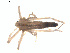  ( - BIOUG01967-A02)  @12 [ ] Copyright  G. Blagoev 2012 Unspecified